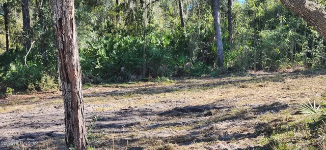 a view of a covered with trees