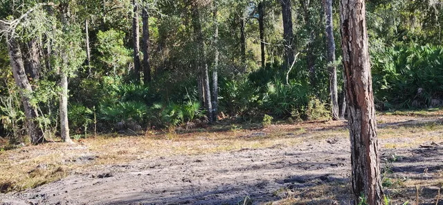 a view of a yard with plants and trees
