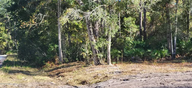a view of a yard with plants and trees
