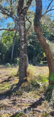 a view of a yard with wooden fence