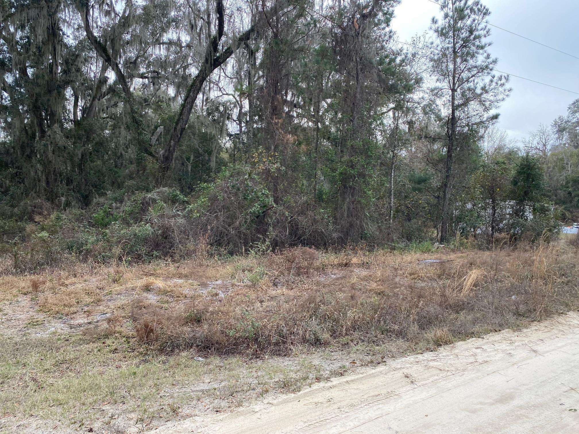 149 Nichols Road Florahome, FL 32140 - Photo 3 of 6 Gallery Image 3