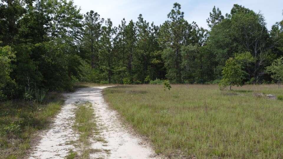 1327 Charlies Loop Williston, SC 29853 - Photo 5 of 6