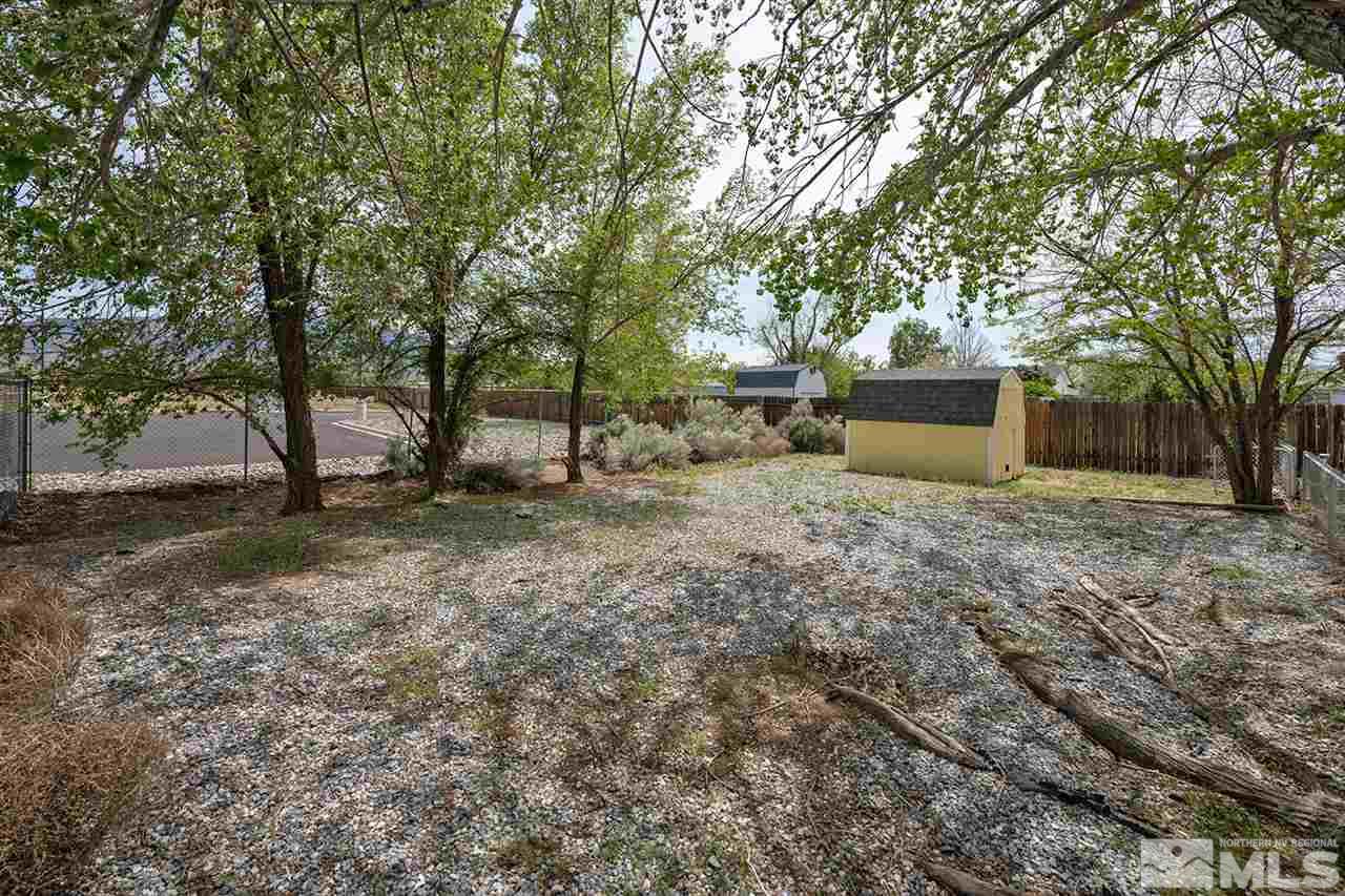 128 Empire Road Dayton, NV 89403 - Photo 6 of 20 a view of a backyard with large trees