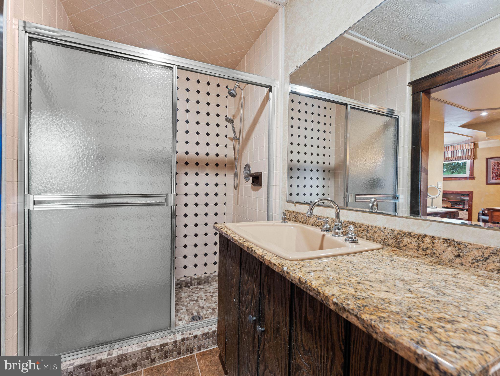 490 South Old Middletown Road Media, PA 19063 - Photo 44 of 79 a bathroom with a granite countertop shower sink and mirror