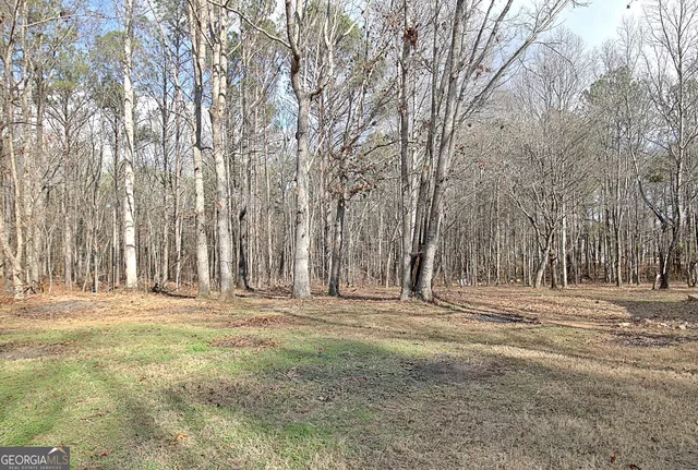 $2,150 | 15 Chestlehurst Way, Senoia, GA 30276