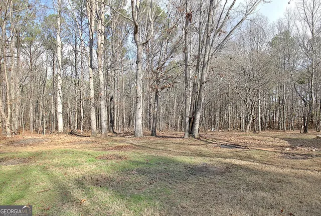 $2,100 | 15 Chestlehurst Way, Senoia, GA 30276