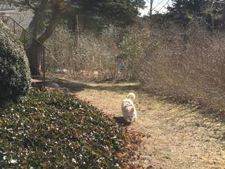 75 Pine Point Road Wellfleet, MA 02667 - Photo 35 of 45 IMG_2438