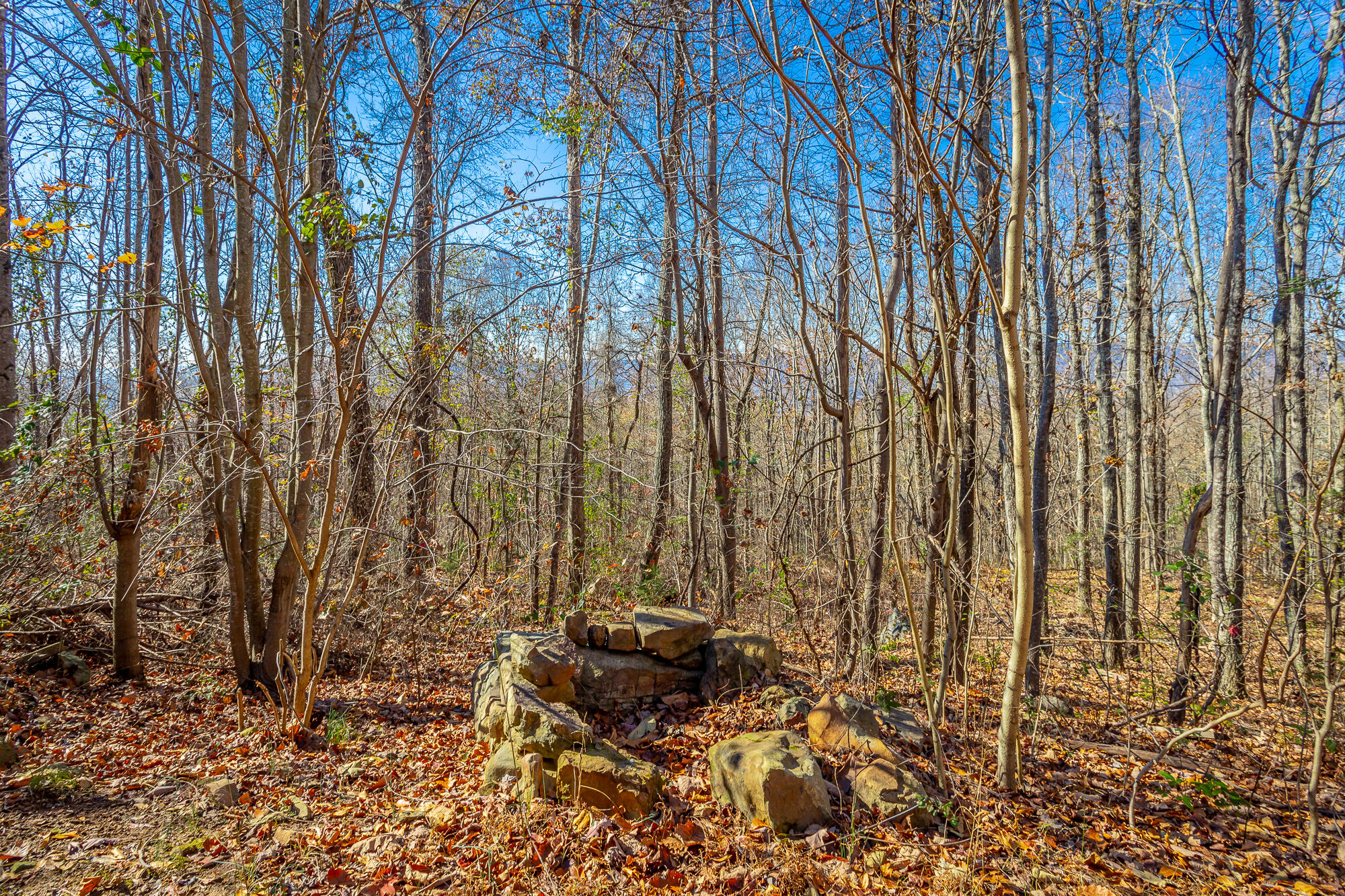 1111 Ditch Gap Road Whitwell, TN 37397 - Photo 11 of 24 1111 Ditch Gap Road HD-4