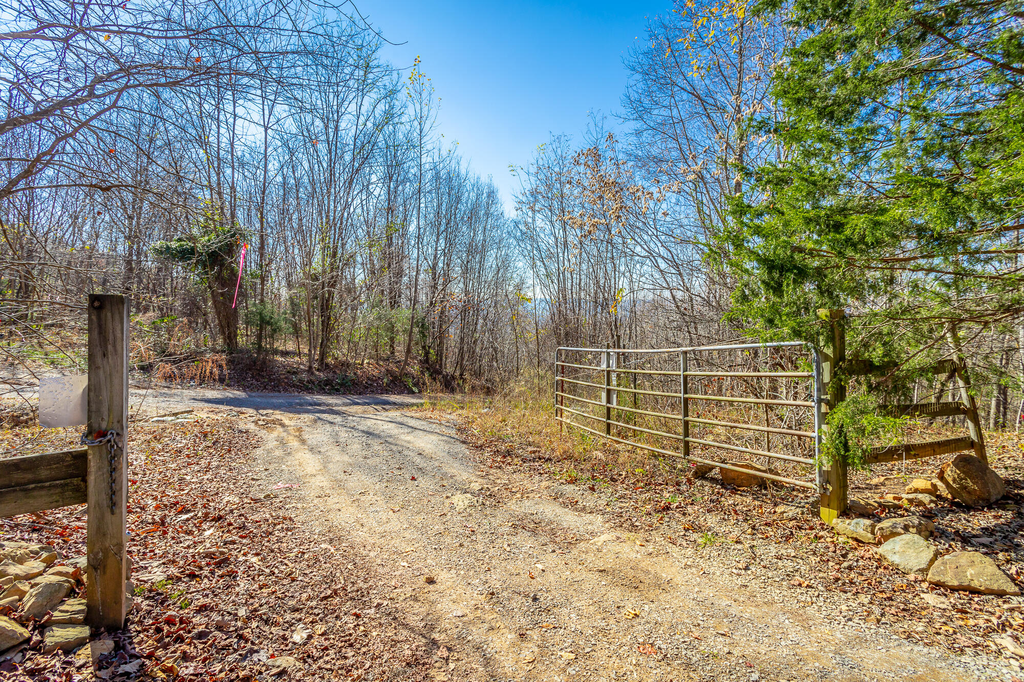 1111 Ditch Gap Road Whitwell, TN 37397 - Photo 6 of 24 1111 Ditch Gap Road HD-11
