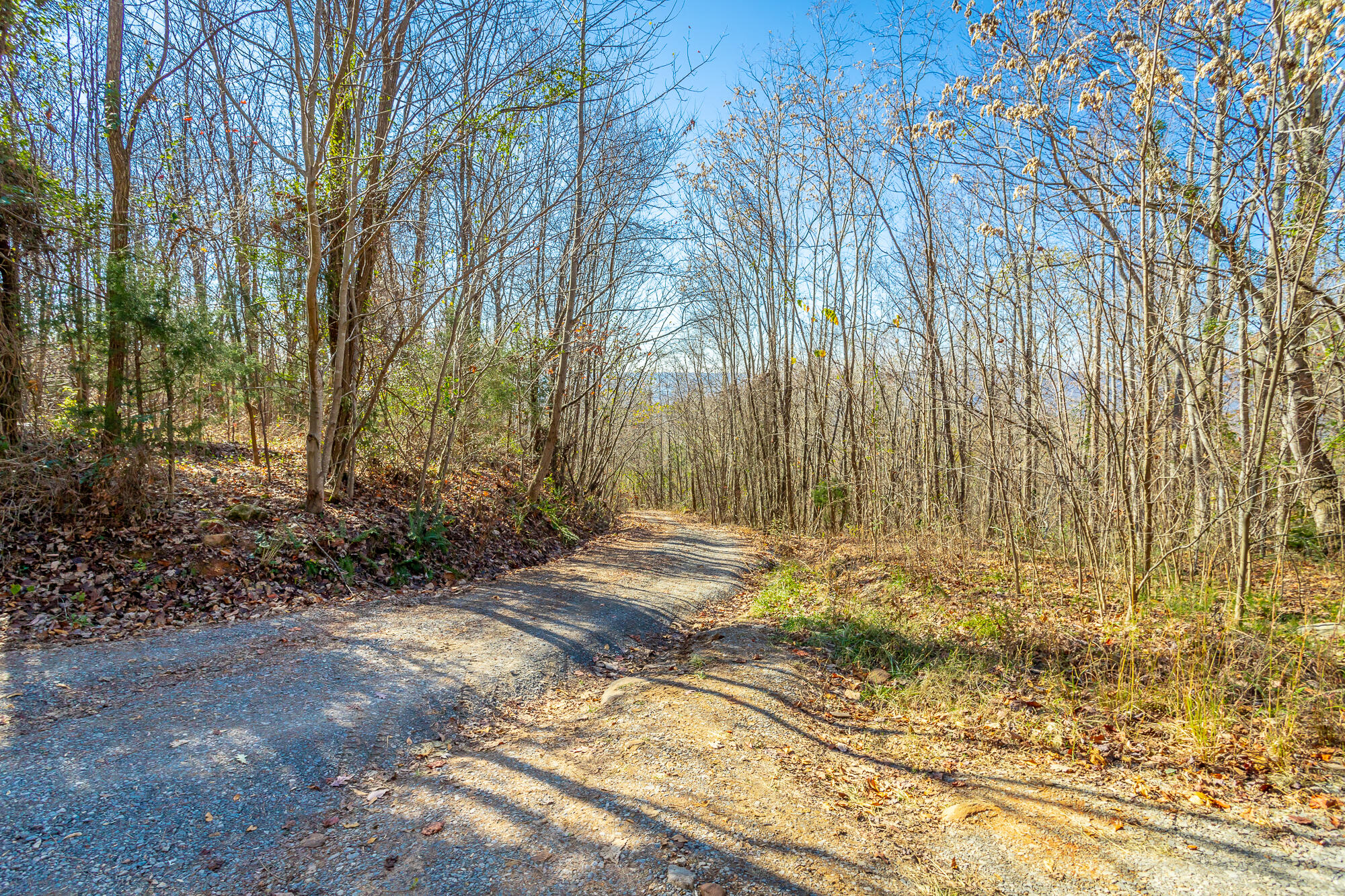1111 Ditch Gap Road Whitwell, TN 37397 - Photo 7 of 24 1111 Ditch Gap Road HD-12