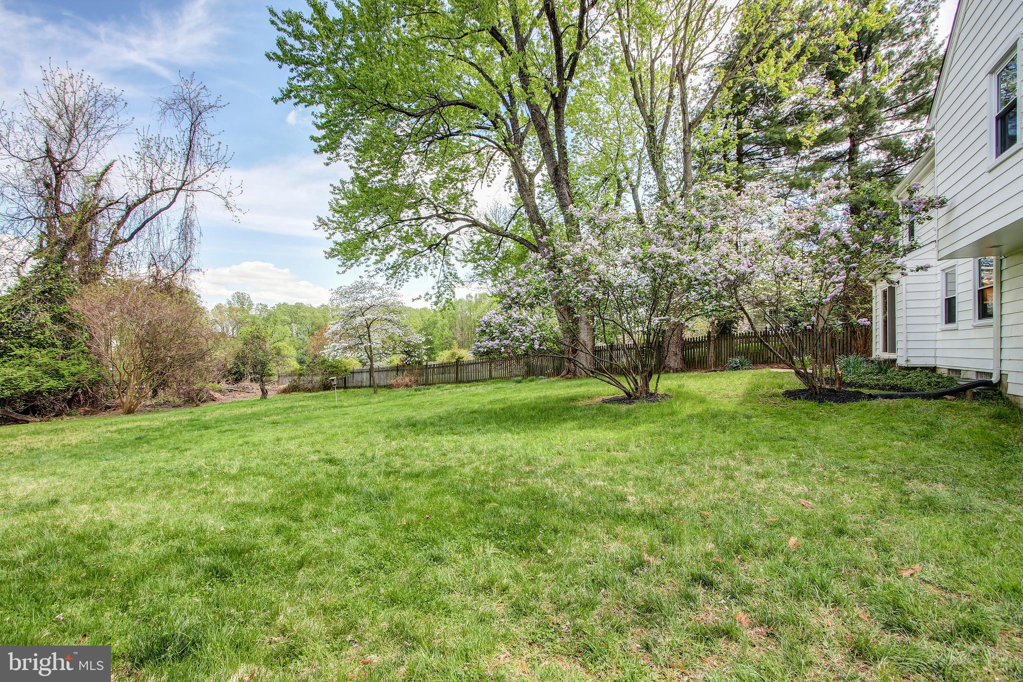 13509 Middlevale Lane Silver Spring, MD 20906 - Photo 34 of 35 Backyard