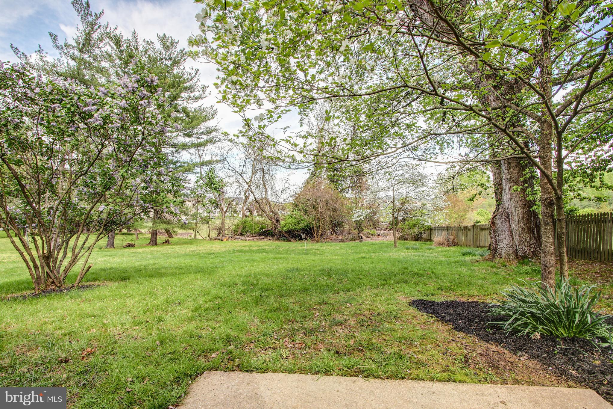 13509 Middlevale Lane Silver Spring, MD 20906 - Photo 35 of 35 Backyard