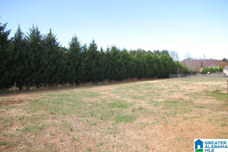 118 Hawk Pass Anniston, AL 36207 - Photo 36 of 36