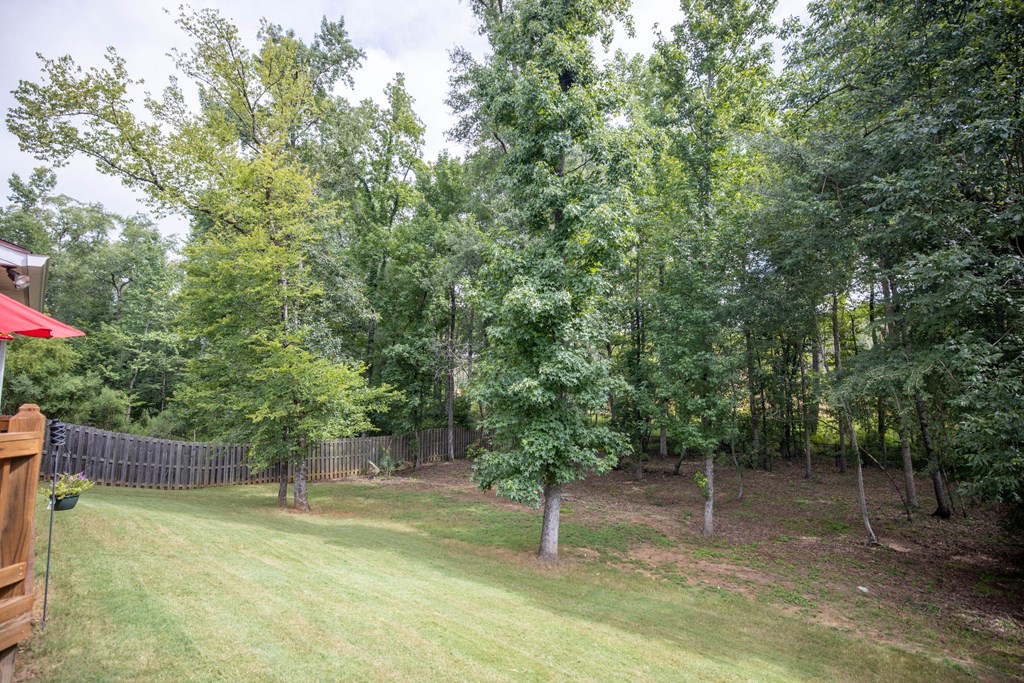 9791 Yellow Pine Road Midland, GA 31820 - Photo 40 of 41