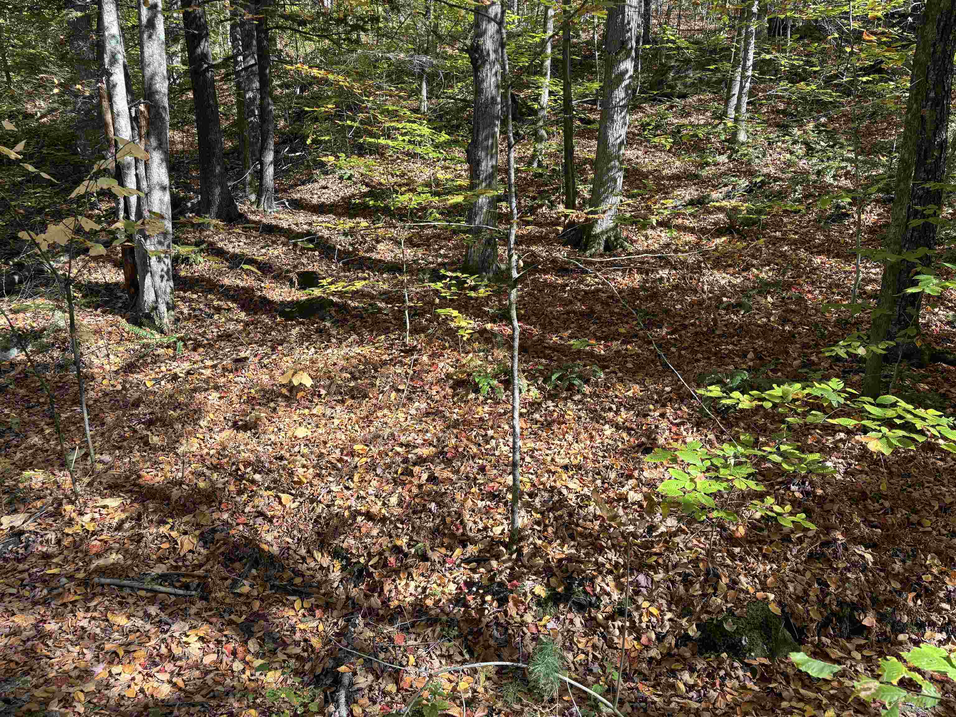0 Quarry Road Chester, VT 05143 - Photo 19 of 25