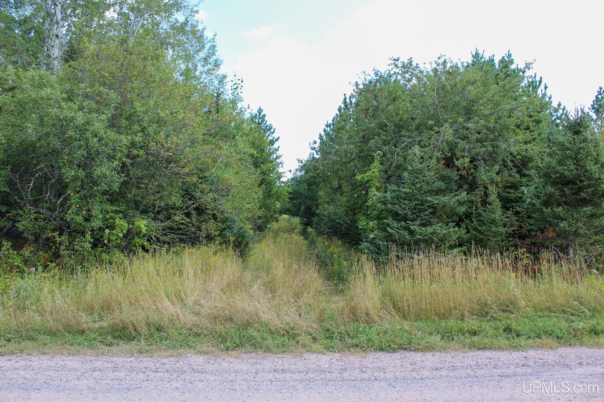 Tbd Michaelson Road Pelkie, MI 49958 - Photo 3 of 73 Gallery Image 3