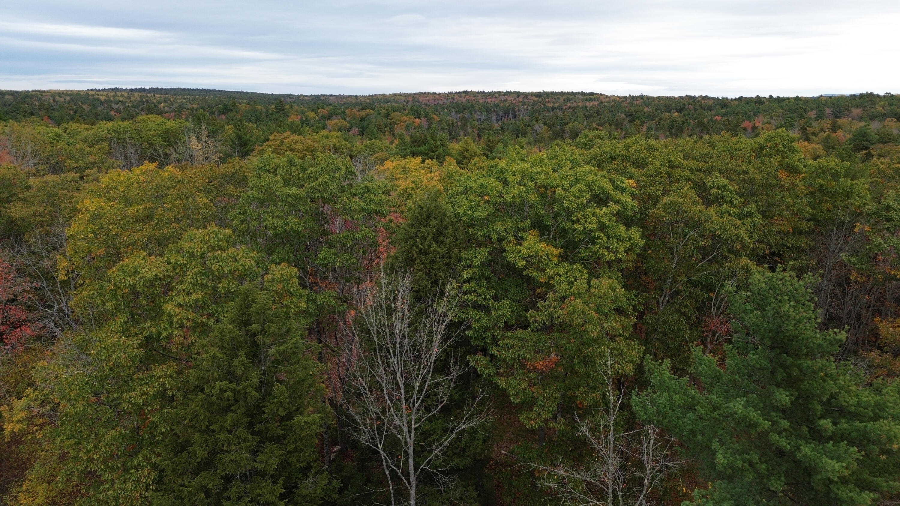 401 Genthner Road Waldoboro, ME 04572 - Photo 34 of 35