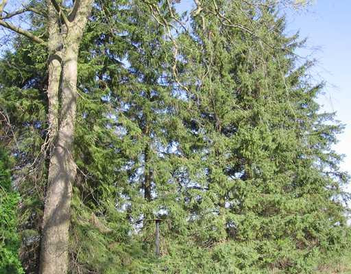 2340 Mooreville Road Milan, MI 48160 - Photo 7 of 7 Photo 7