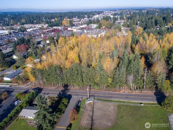 a view of a yard with plants and trees