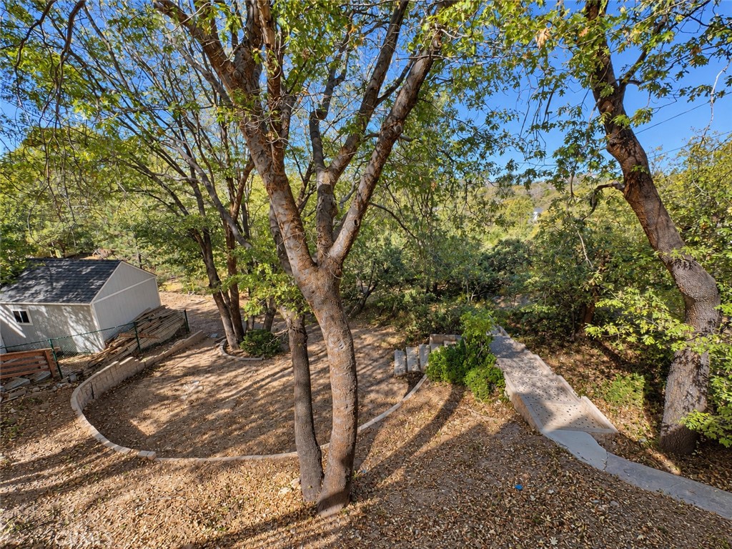 975 Hospital Road Lake Arrowhead, CA 92352 - Photo 48 of 67 Backyard