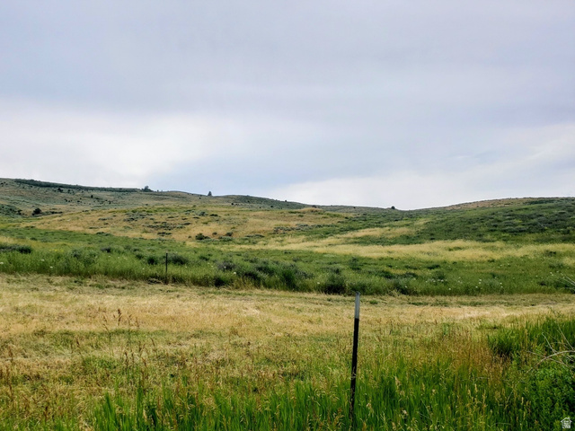 357 West 3rd Street North Bloomington, ID 83223 - Photo 7 of 10 Expansive open land featuring rolling hills and varied natural vegetation