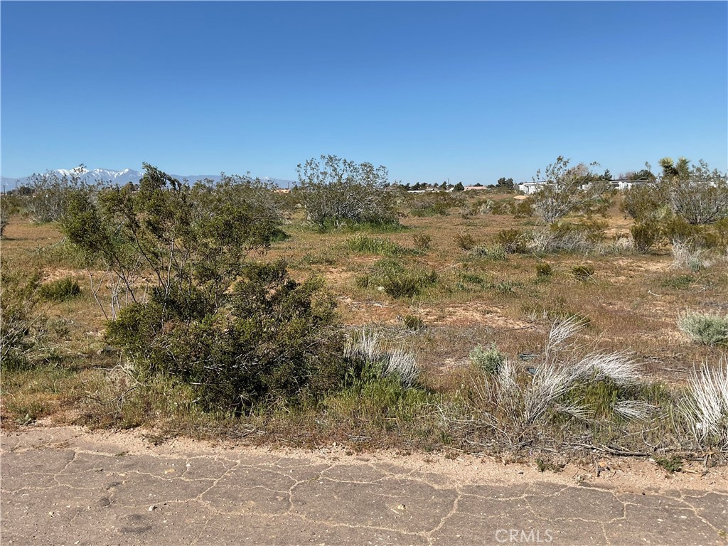 22111 Hesperia Road Hesperia, CA 92345 - Photo 5 of 11 a view of a city with lush green forest