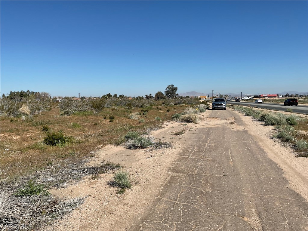 22111 Hesperia Road Hesperia, CA 92345 - Photo 6 of 11 a view of a dry yard with trees