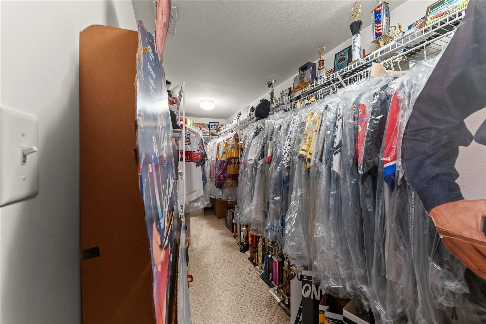 1718 Tin Cup Road Mahomet, IL 61853 - Photo 37 of 50