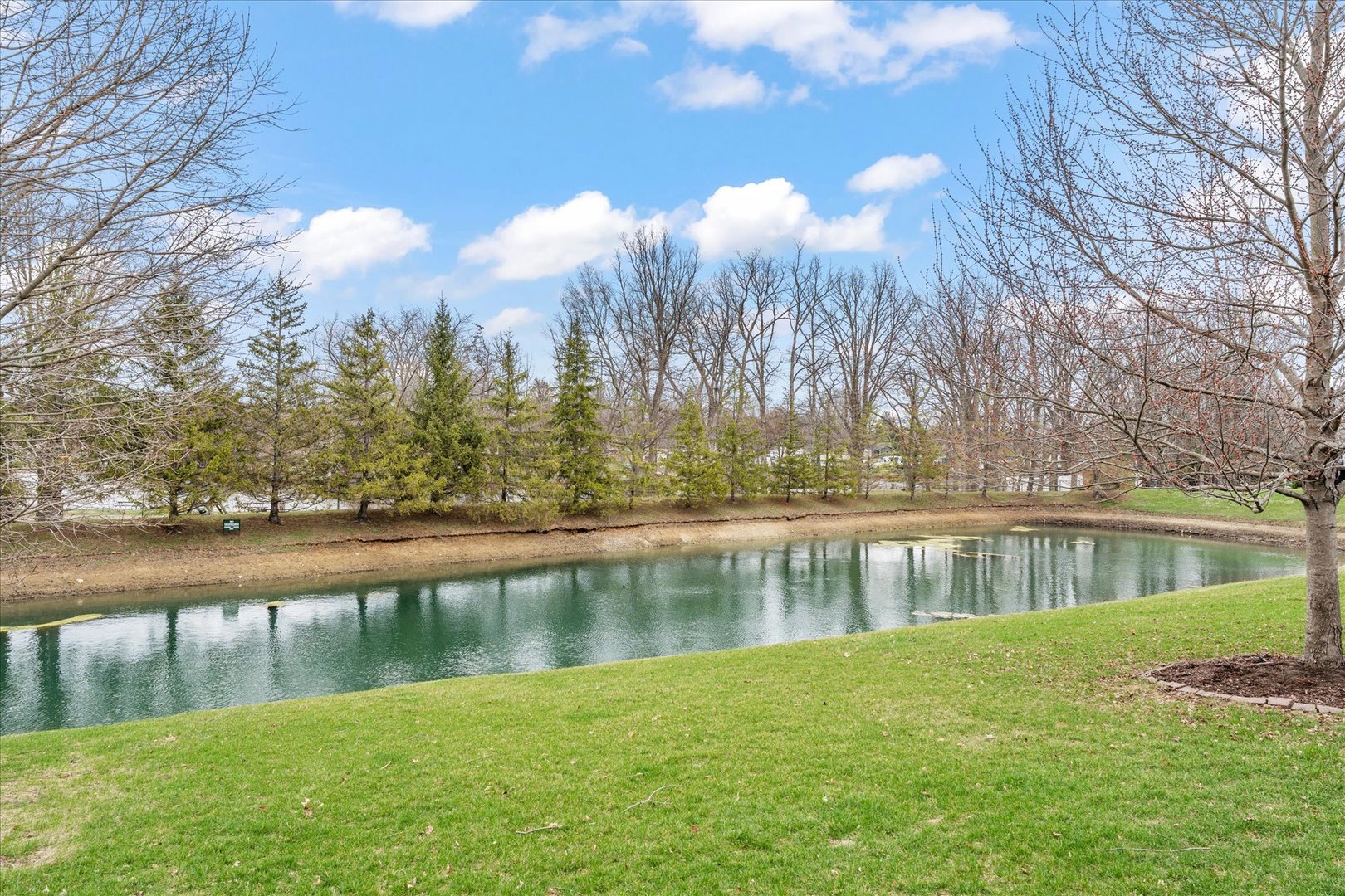 1718 Tin Cup Road Mahomet, IL 61853 - Photo 49 of 50