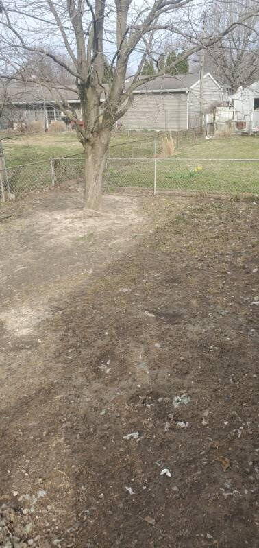 2412 Bramble Way Anderson, IN 46011 - Photo 10 of 35 378x799