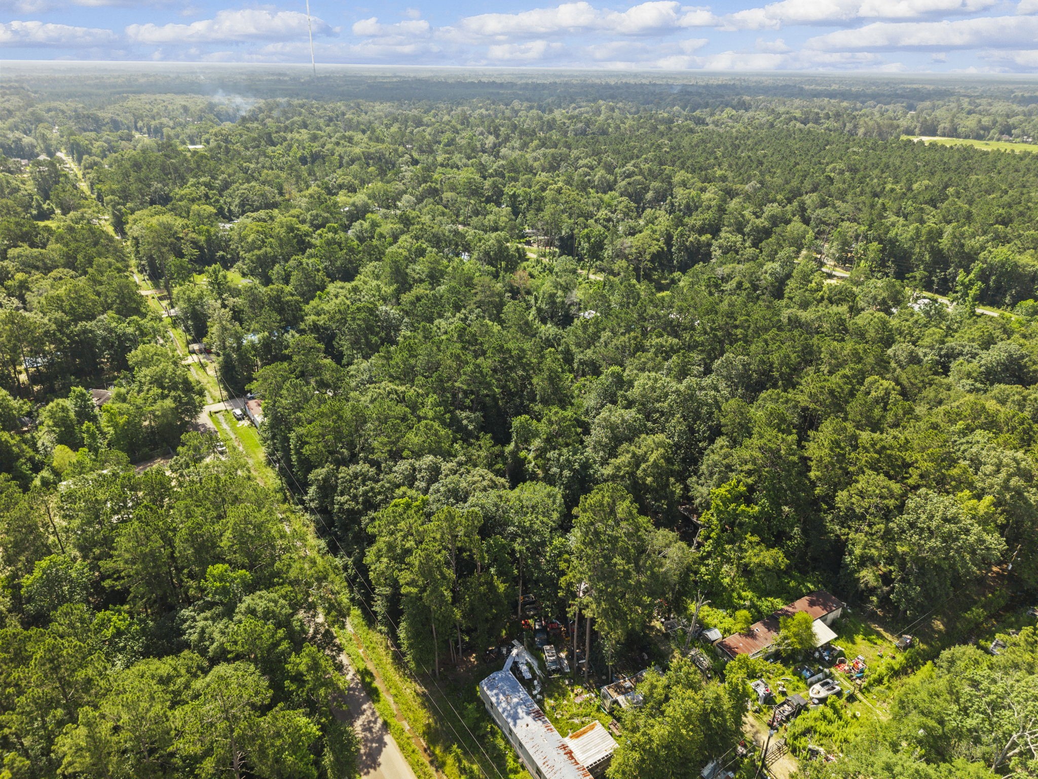 15597 Westgate Road Splendora, TX 77372 - Photo 3 of 14 Tree Canopy + Surrounding Land - Aerial perspective highlights the dense tree coverage and natural privacy feel buyers will want to evaluate while walking the lot.