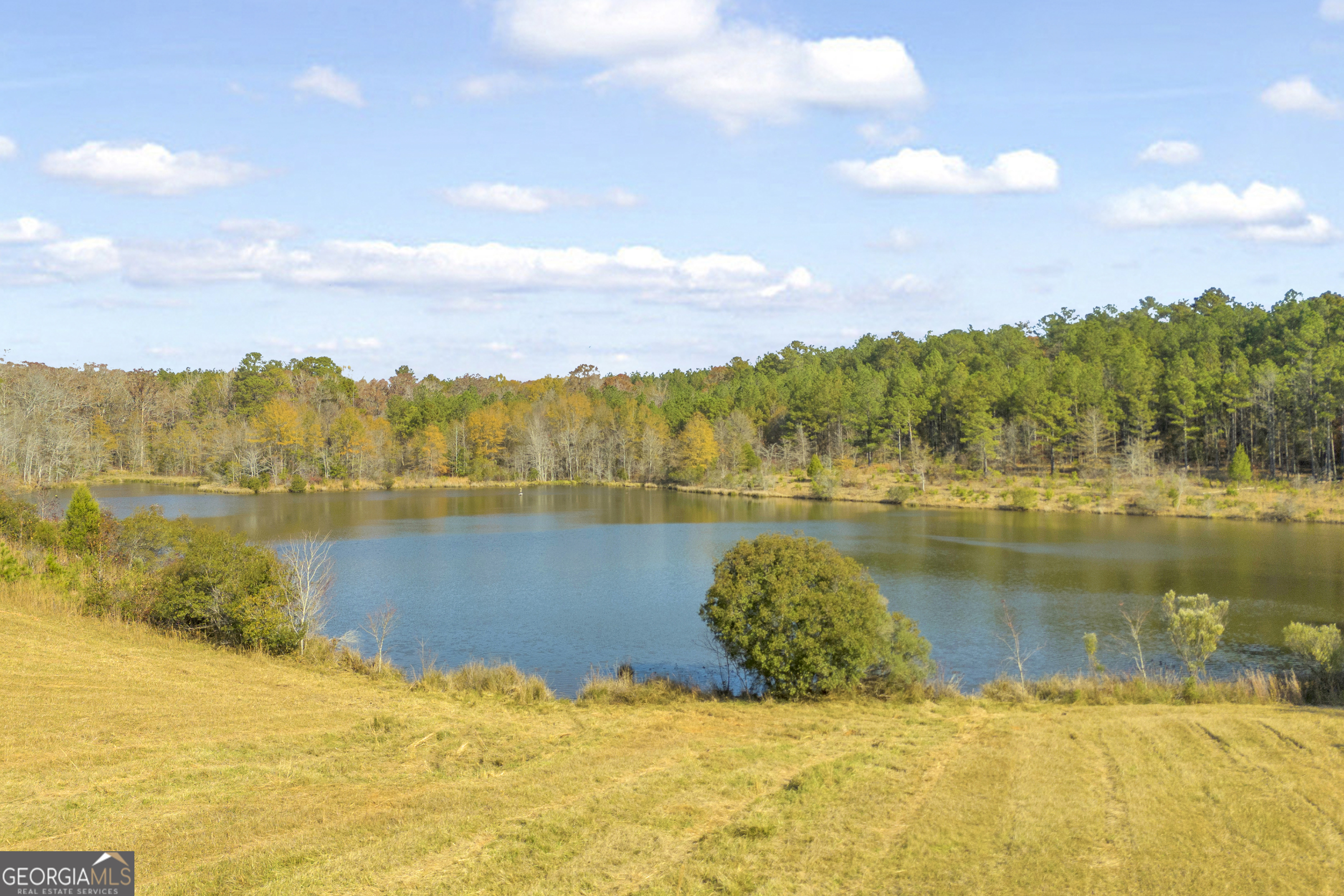 23824 Highway 22 Sparta, GA 31087 - Photo 4 of 94