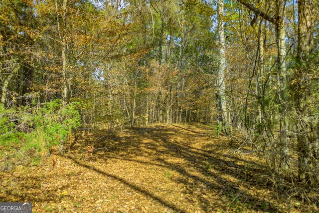 $1,400,000 | 23824 Highway 22, Sparta, GA 31087