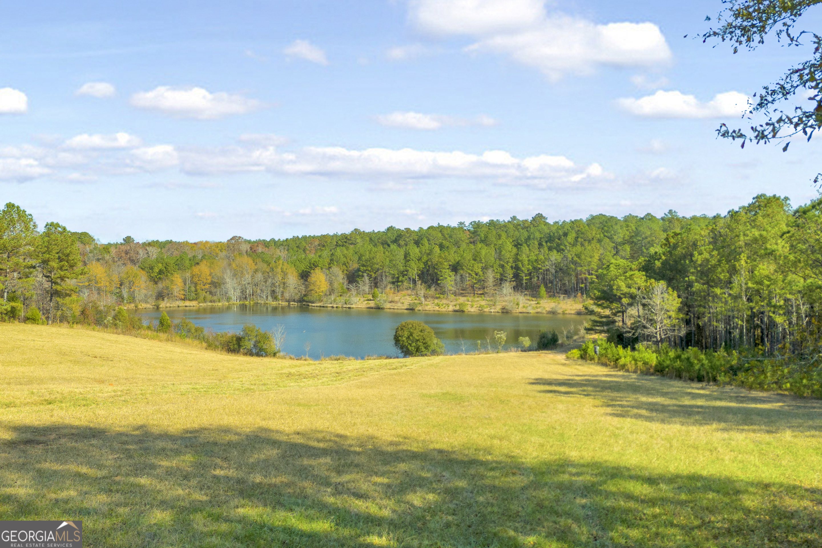 23824 Highway 22 Sparta, GA 31087 - Photo 83 of 94