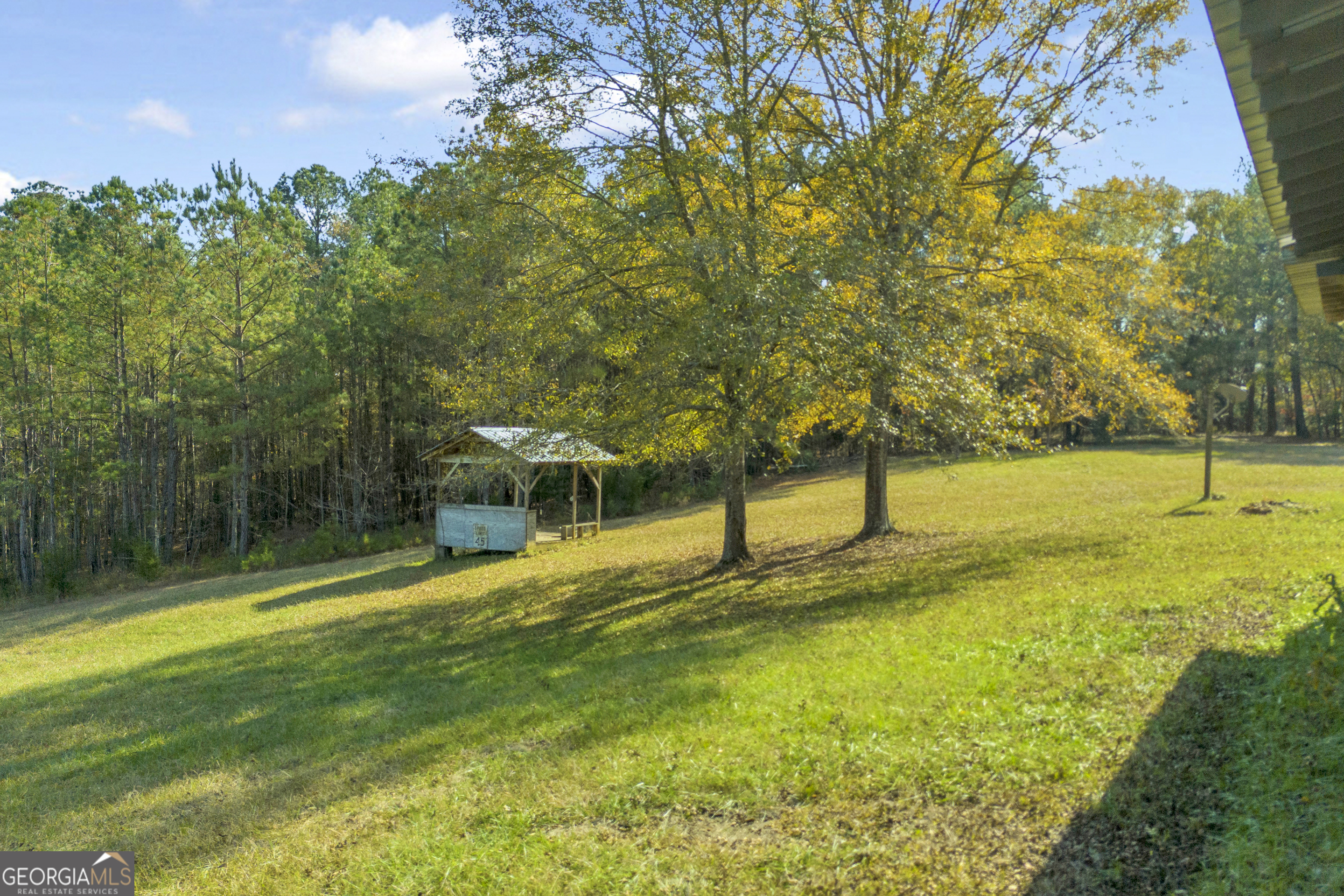 23824 Highway 22 Sparta, GA 31087 - Photo 85 of 94 a view of swimming pool with an outdoor space