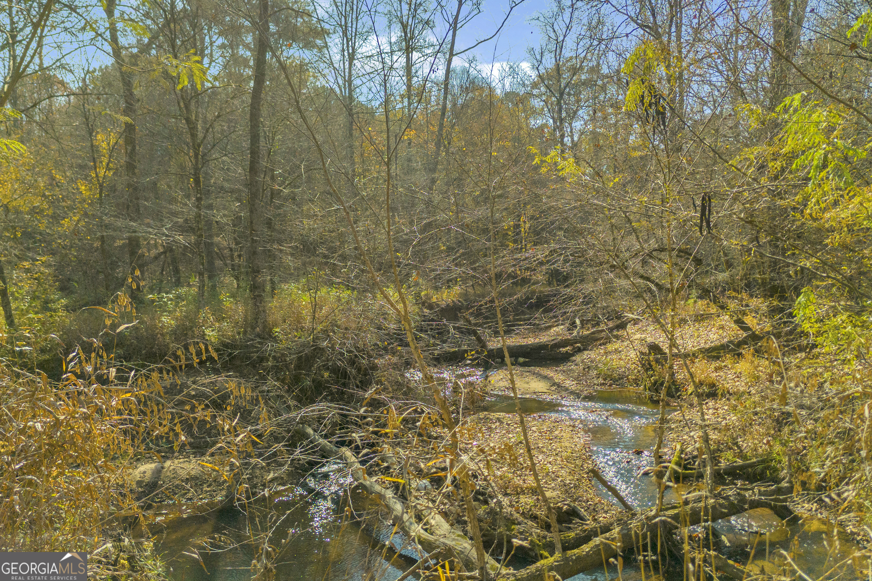 23824 Highway 22 Sparta, GA 31087 - Photo 86 of 94