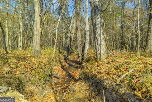 $1,400,000 | 23824 Highway 22, Sparta, GA 31087