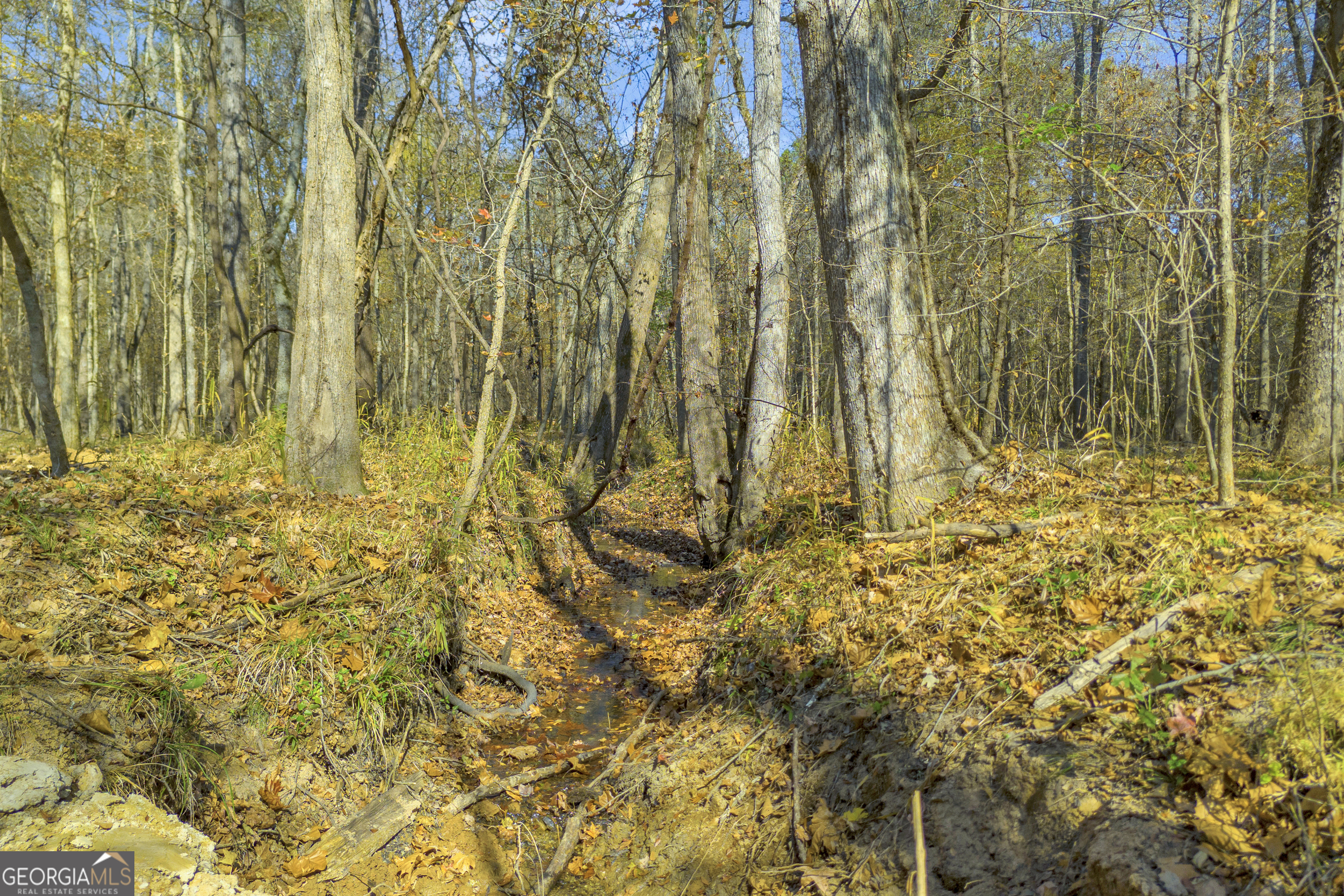 23824 Highway 22 Sparta, GA 31087 - Photo 87 of 94 a bathroom with a shower curtain
