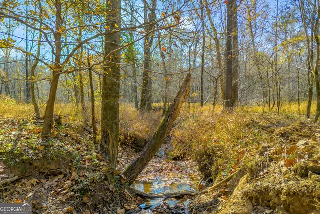 $1,400,000 | 23824 Highway 22, Sparta, GA 31087