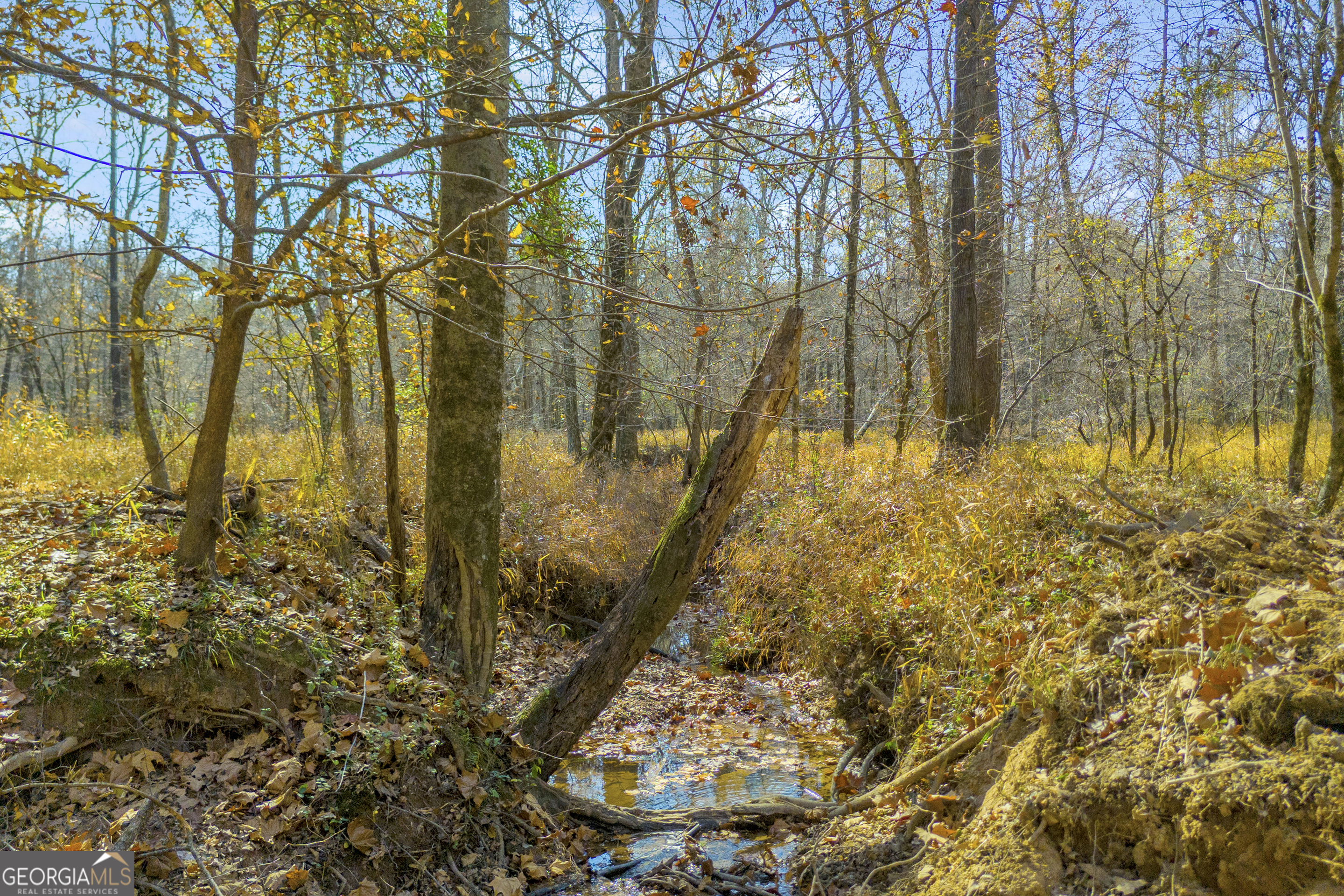 23824 Highway 22 Sparta, GA 31087 - Photo 88 of 94