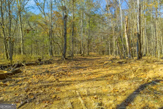 $1,400,000 | 23824 Highway 22, Sparta, GA 31087