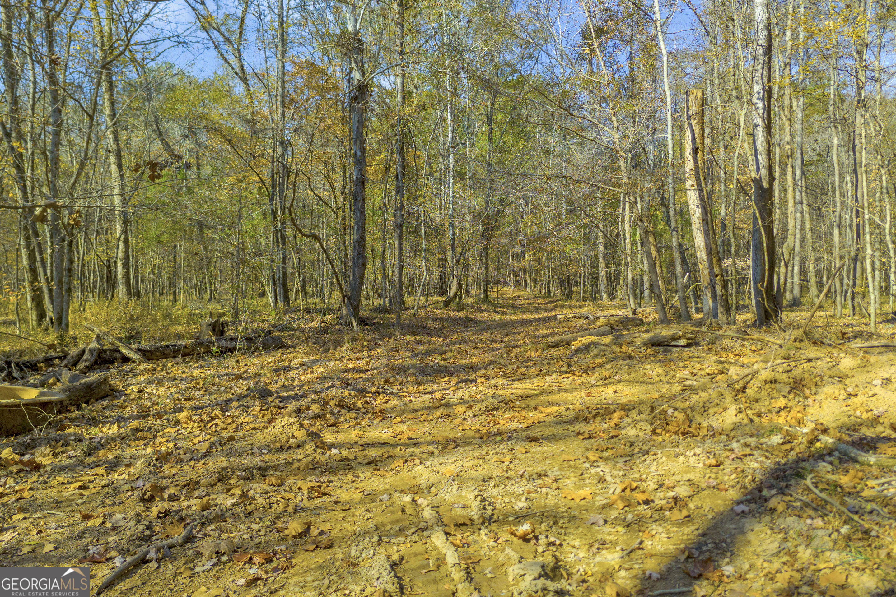 23824 Highway 22 Sparta, GA 31087 - Photo 89 of 94 a view of outdoor space with wooden fence