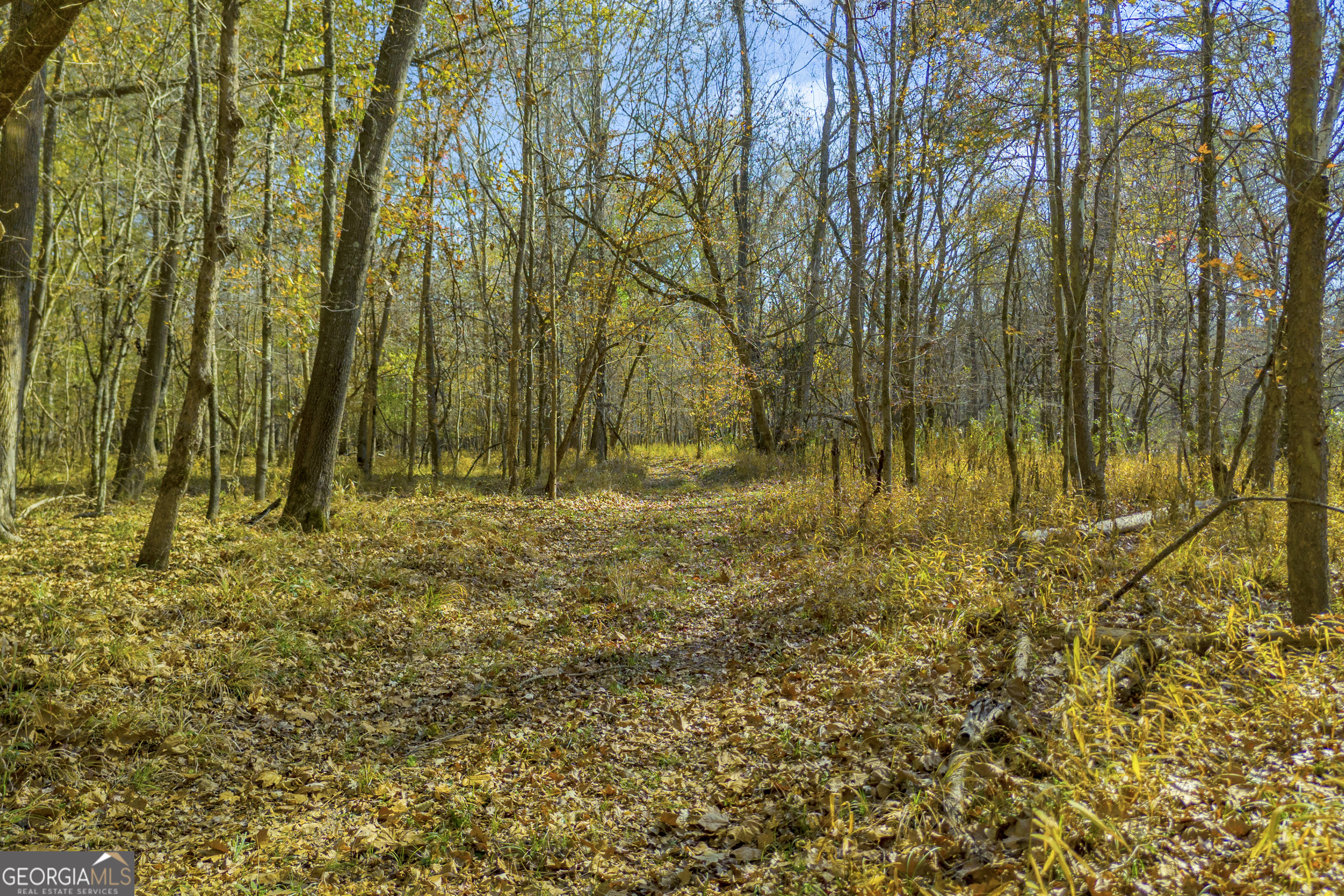 23824 Highway 22 Sparta, GA 31087 - Photo 90 of 94