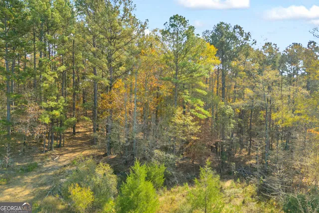 $1,400,000 | 23824 Highway 22, Sparta, GA 31087