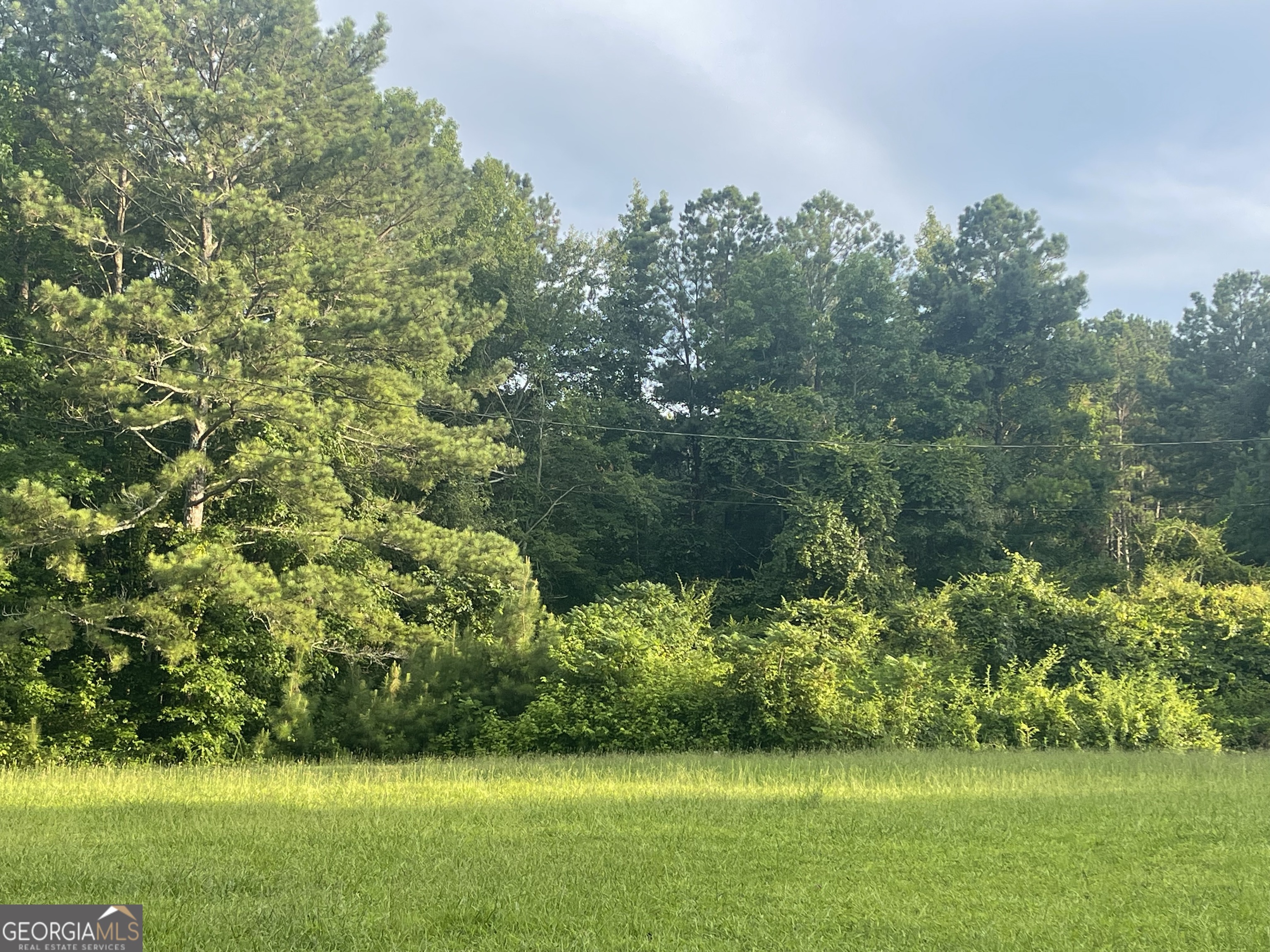 280 Levi-Patterson Road Waco, GA 30182 - Photo 2 of 5 from yard