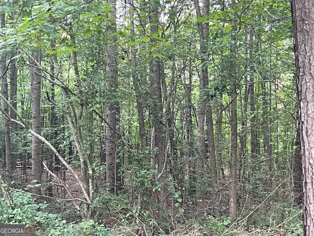 $316,000 | 280 Levi-Patterson Road, Waco, GA 30182