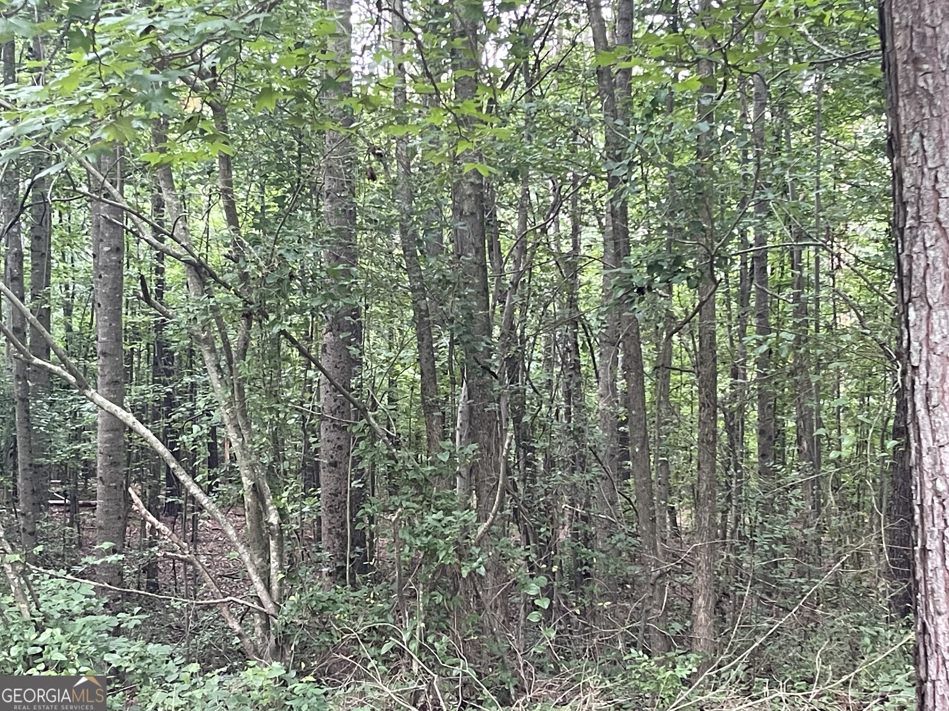 280 Levi-Patterson Road Waco, GA 30182 - Photo 3 of 5 from driveway