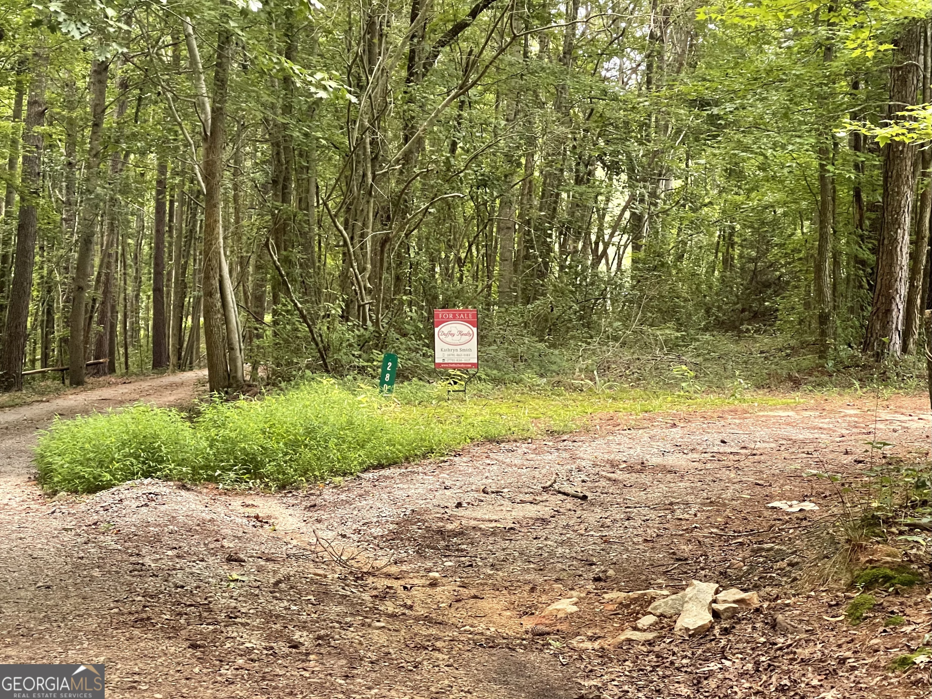 280 Levi-Patterson Road Waco, GA 30182 - Photo 4 of 5 gravel road leads to private drives to and beyond property