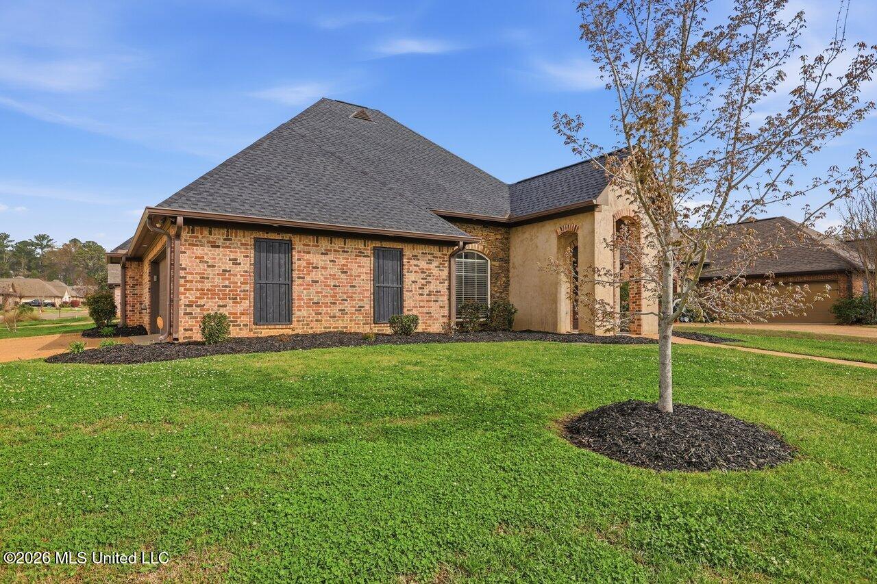 301 Siltstone Ridge Brandon, MS 39047 - Photo 3 of 32 301 Siltstone Ridge Home Tours MS 3