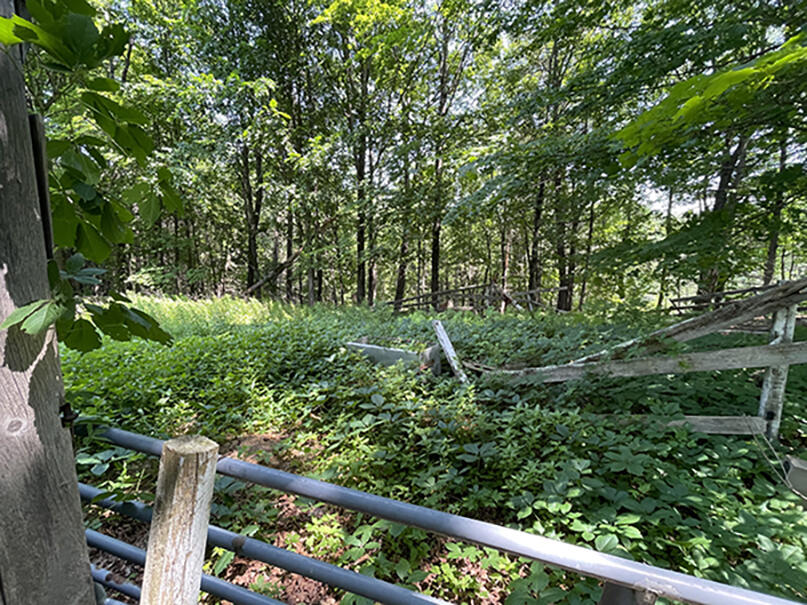 435 Leighton Road Augusta, ME 04330 - Photo 49 of 52 47